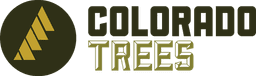 Colorado Trees