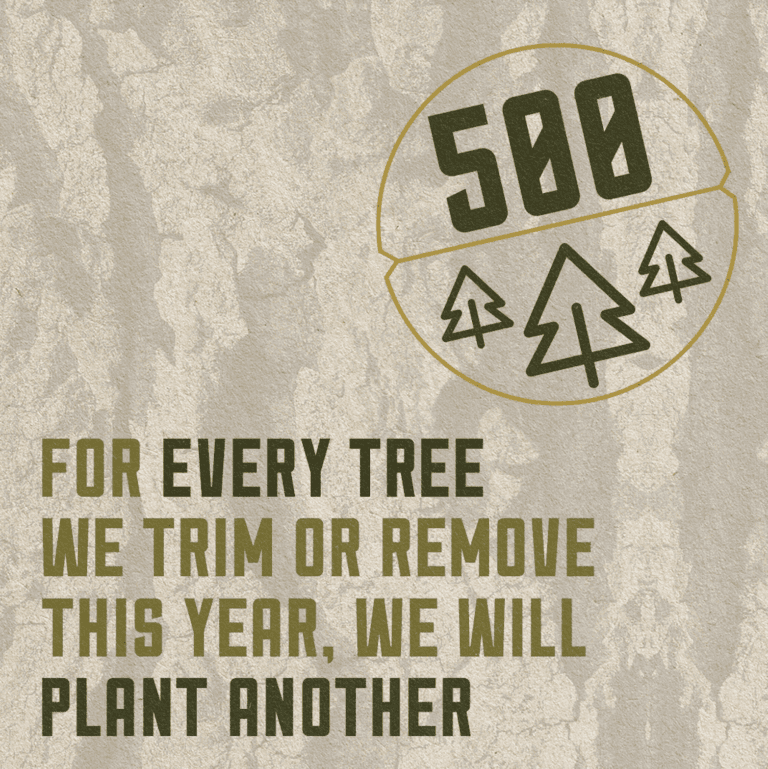 One Tree Planted Partnership